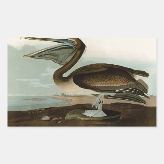John James Audubon Brown Pelican Artwork schildere Rechthoekige Sticker (Voorkant)