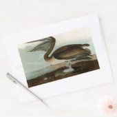 John James Audubon Brown Pelican Artwork schildere Rechthoekige Sticker (Envelop)