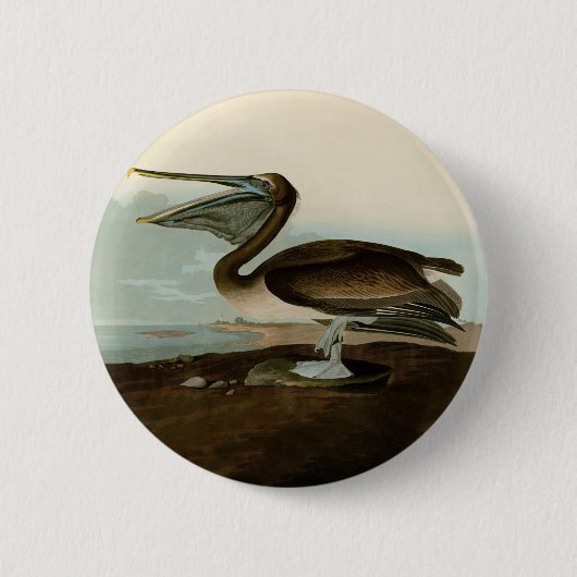 John James Audubon Brown Pelican Artwork schildere Ronde Button 5,7 Cm (Voorkant)
