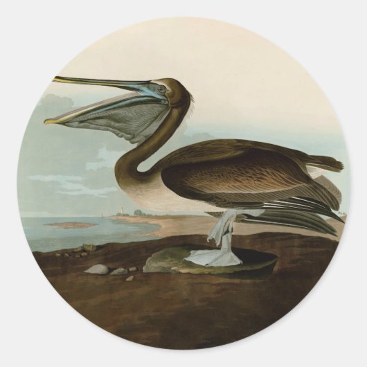 John James Audubon Brown Pelican Artwork schildere Ronde Sticker (Voorkant)