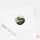 John James Audubon Brown Pelican Artwork schildere Ronde Sticker (Envelop)