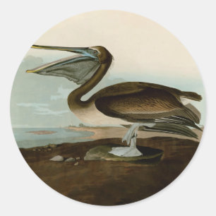 John James Audubon Brown Pelican Artwork schildere Ronde Sticker