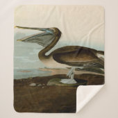 John James Audubon Brown Pelican Artwork schildere Sherpa Deken (Voorkant)