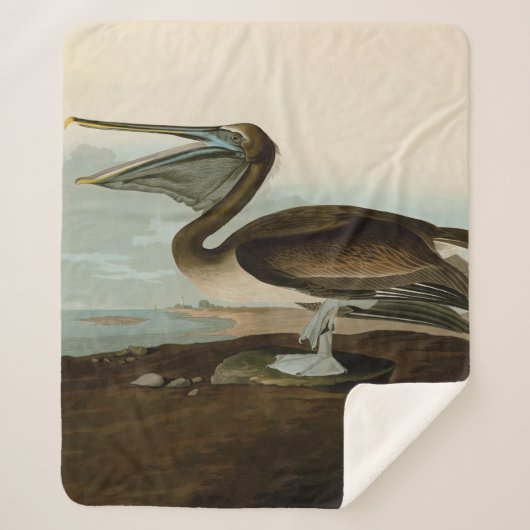 John James Audubon Brown Pelican Artwork schildere Sherpa Deken (Voorkant)
