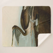 John James Audubon Brown Pelican Artwork schildere Sherpa Deken (Voorkant (horizontaal))