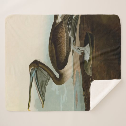 John James Audubon Brown Pelican Artwork schildere Sherpa Deken (Voorkant (horizontaal))