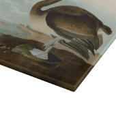 John James Audubon Brown Pelican Artwork schildere Snijplank (Hoek)