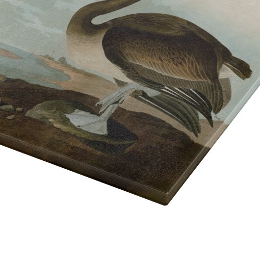 John James Audubon Brown Pelican Artwork schildere Snijplank (Hoek)