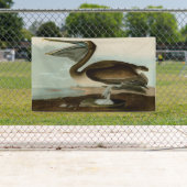 John James Audubon Brown Pelican Artwork schildere Spandoek (Insitu)