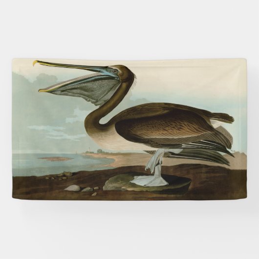 John James Audubon Brown Pelican Artwork schildere Spandoek (Horizontaal)