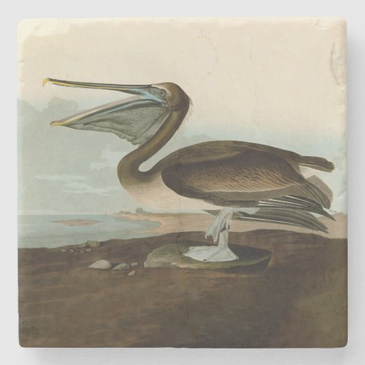 John James Audubon Brown Pelican Artwork schildere Stenen Onderzetter (Voorkant)
