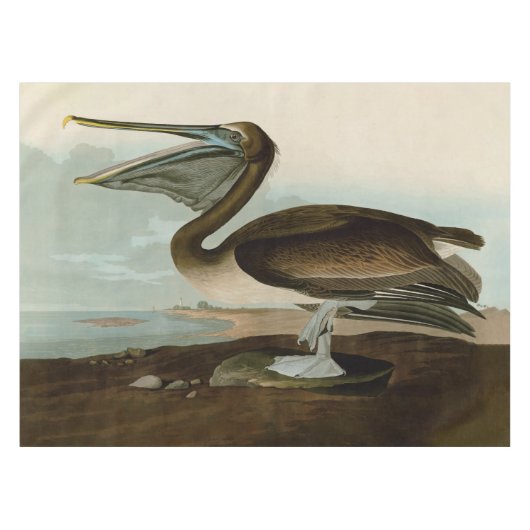 John James Audubon Brown Pelican Artwork schildere Tafelkleed (Voorkant (Horizontaal))