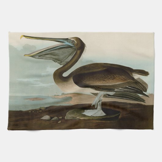 John James Audubon Brown Pelican Artwork schildere Theedoek (Horizontaal)