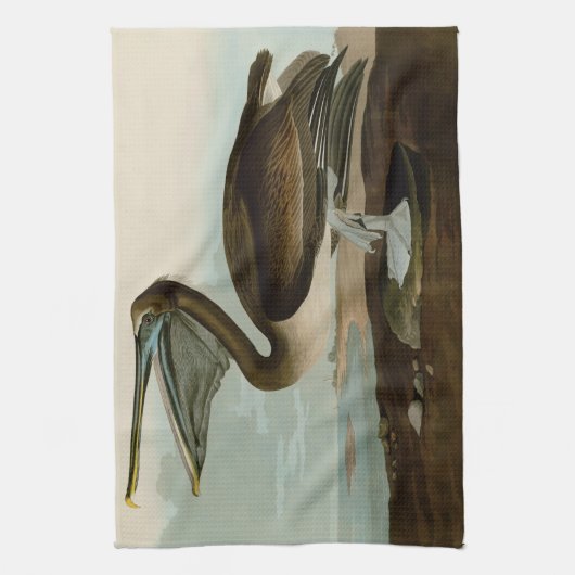 John James Audubon Brown Pelican Artwork schildere Theedoek (Verticaal)