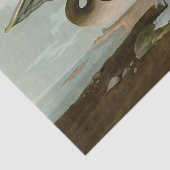 John James Audubon Brown Pelican Artwork schildere Tissuepapier (Detail)
