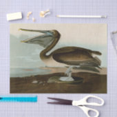 John James Audubon Brown Pelican Artwork schildere Tissuepapier (Craft)
