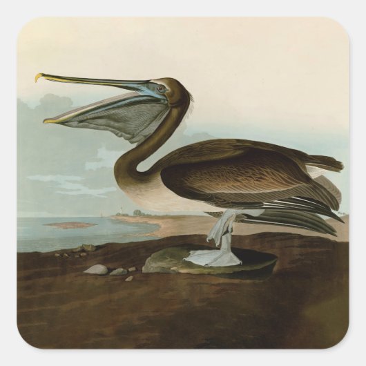 John James Audubon Brown Pelican Artwork schildere Vierkante Sticker (Voorkant)