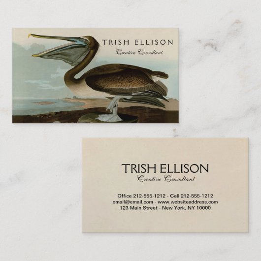 John James Audubon Brown Pelican Artwork schildere Visitekaartje (Voorkant / Achterkant)