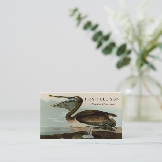 John James Audubon Brown Pelican Artwork schildere Visitekaartje (Staand voorkant)