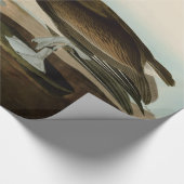 John James Audubon Bruine Pelikaan Kunstwerk Schil Cadeaupapier (Hoek)