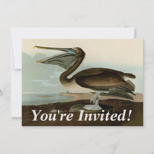 John James Audubon Bruine Pelikaan Kunstwerk Schil Kaart (Voorkant)