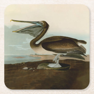 John James Audubon Bruine Pelikaan Kunstwerk Schil Kartonnen Onderzetters
