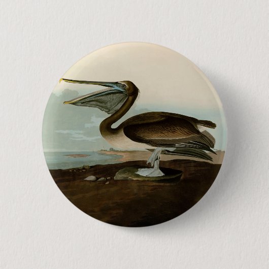 John James Audubon Bruine Pelikaan Kunstwerk Schil Ronde Button 5,7 Cm (Voorkant)