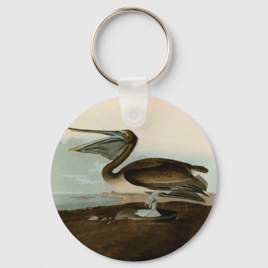 John James Audubon Bruine Pelikaan Kunstwerk Schil Sleutelhanger (Voorkant)