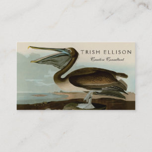 John James Audubon Bruine Pelikaan Kunstwerk Schil Visitekaartje