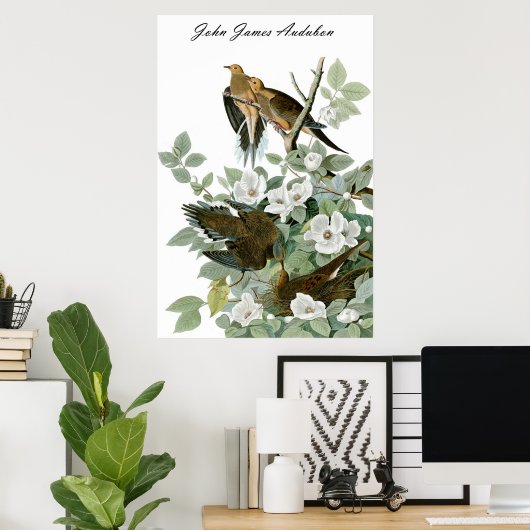 John James Audubon Carolina Pigeon Mourning Dove 1 Poster (Thuiskantoor)