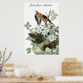 John James Audubon Carolina Pigeon Mourning Dove 1 Poster (Keuken)