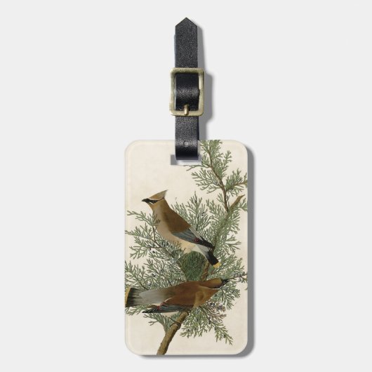 John James Audubon Cedar Waxwing Vogelprint Bagagelabel (Voorkant verticaal)