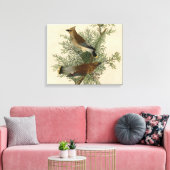 John James Audubon Cedar Waxwing Vogelprint Canvas Afdruk (Insitu (Woonkamer))