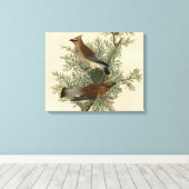 John James Audubon Cedar Waxwing Vogelprint Canvas Afdruk (Insitu (Houten vloer))