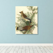 John James Audubon Cedar Waxwing Vogelprint Canvas Afdruk (Insitu (Houten vloer))
