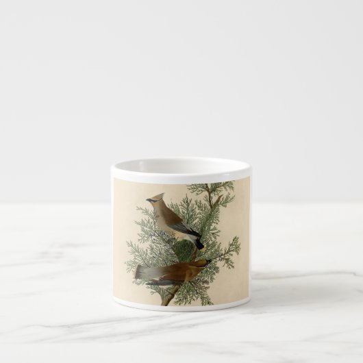 John James Audubon Cedar Waxwing Vogelprint Espresso Kop (Voorkant)