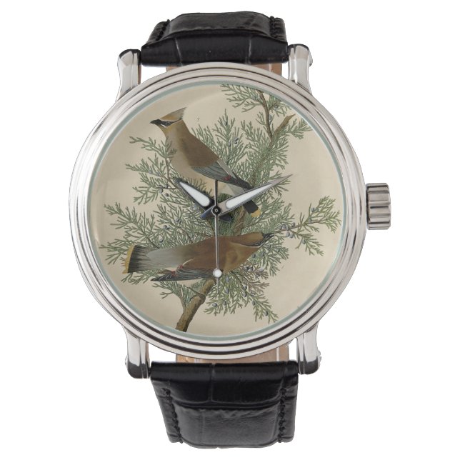 John James Audubon Cedar Waxwing Vogelprint Horloge (Voorkant)