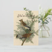 John James Audubon Cedar Waxwing Vogelprint Kaart (Staand voorkant)