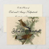 John James Audubon Cedar Waxwing Vogelprint Kaart (Voorkant / Achterkant)