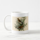 John James Audubon Cedar Waxwing Vogelprint Koffiemok (Links)