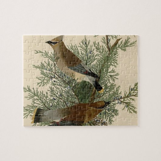John James Audubon Cedar Waxwing Vogelprint Legpuzzel (Horizontaal)