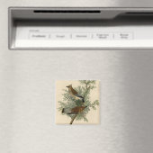 John James Audubon Cedar Waxwing Vogelprint Magneet (Insitu (Vaatwasser))