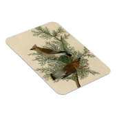 John James Audubon Cedar Waxwing Vogelprint Magneet (Rechterzijde)