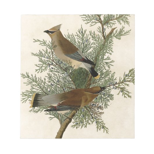 John James Audubon Cedar Waxwing Vogelprint Notitieblok (Voorkant)