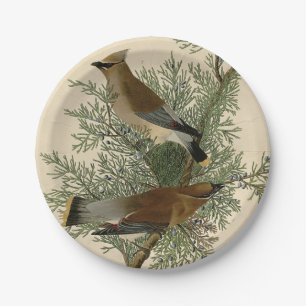 John James Audubon Cedar Waxwing Vogelprint Papieren Bordje