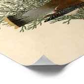 John James Audubon Cedar Waxwing Vogelprint Poster (Hoek)