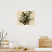John James Audubon Cedar Waxwing Vogelprint Poster (Keuken)