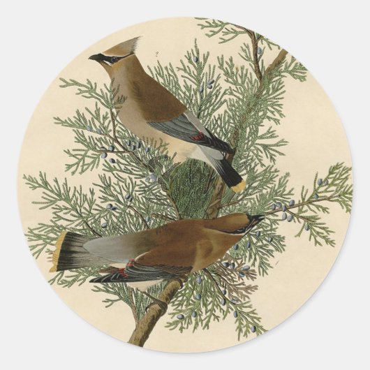 John James Audubon Cedar Waxwing Vogelprint Ronde Sticker (Voorkant)