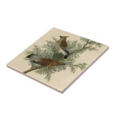 John James Audubon Cedar Waxwing Vogelprint Tegeltje (Zijkant)