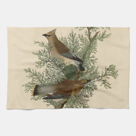 John James Audubon Cedar Waxwing Vogelprint Theedoek (Horizontaal)